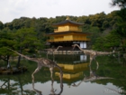 kinkaku.jpg