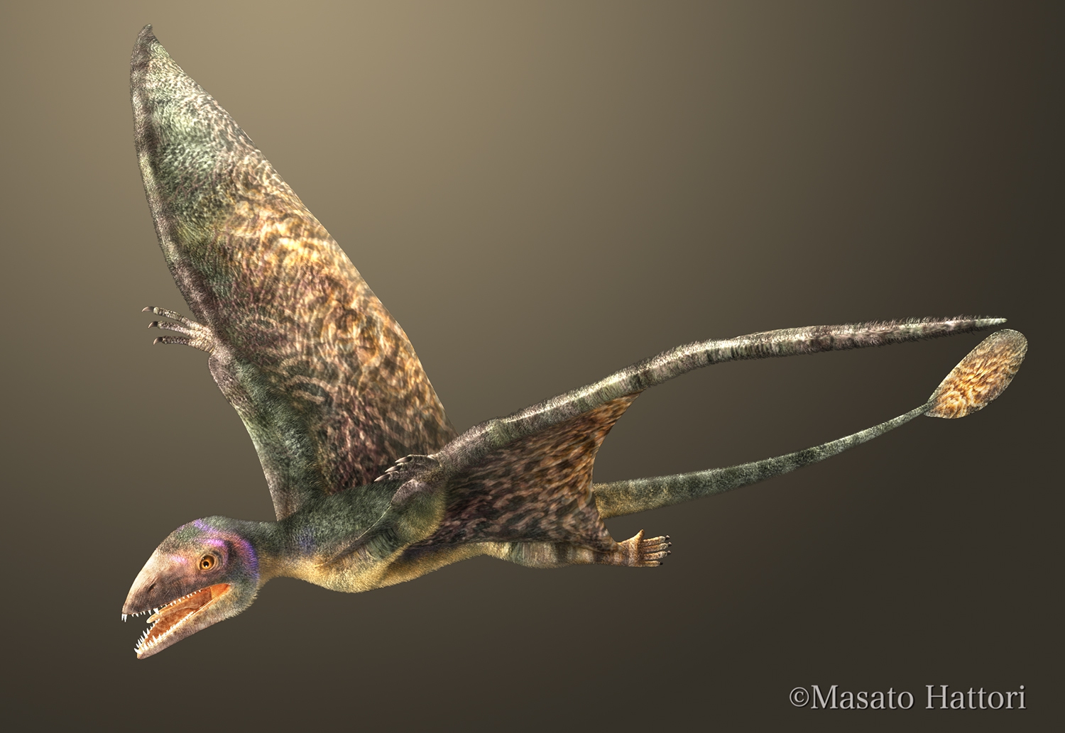 Peteinosaurus_20140215.jpg