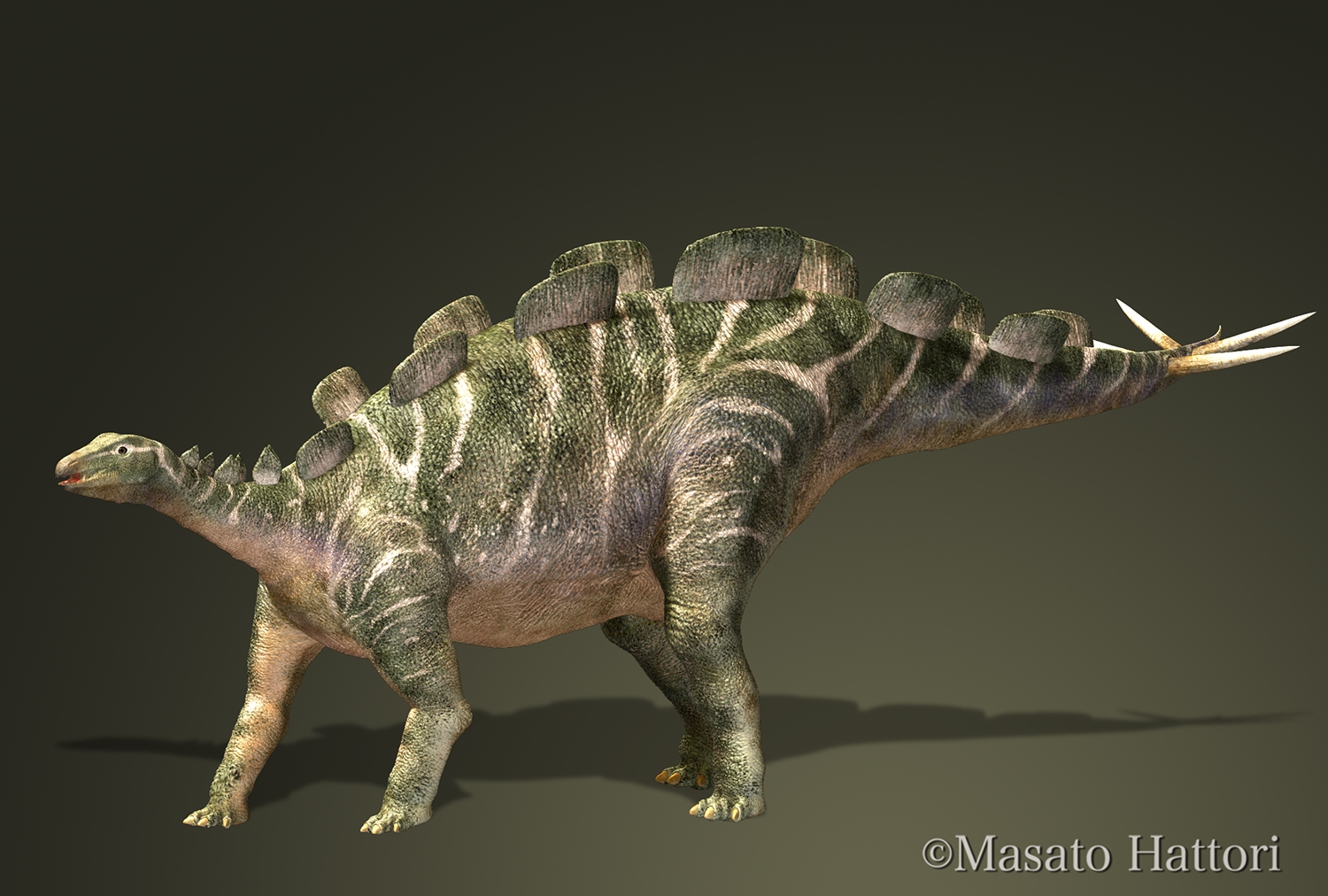 Wuerhosaurus_20140412.jpg
